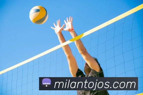 米兰体育品牌故事